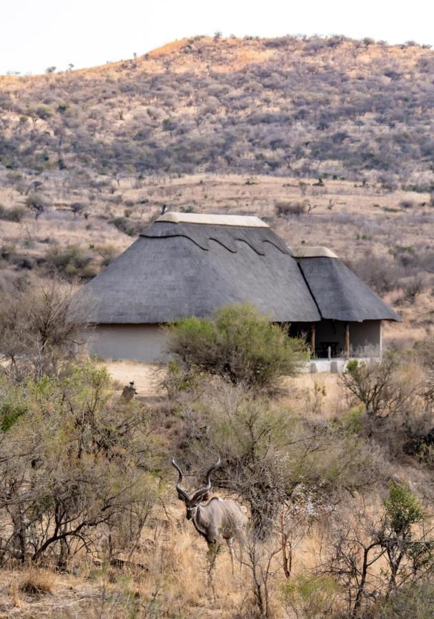 Lions Valley Lodge Ladysmith Exterior foto